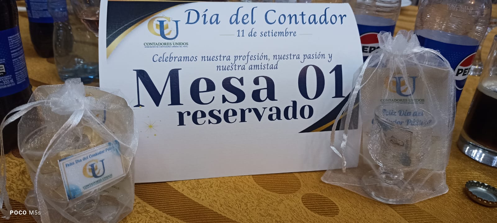 Celebración Día del Contador Público